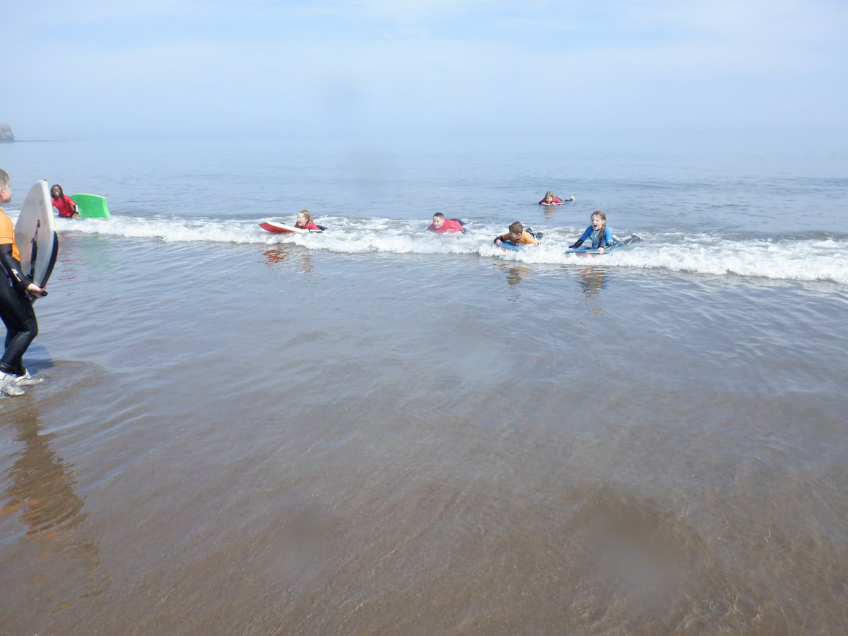 Westerton Primary tweet media