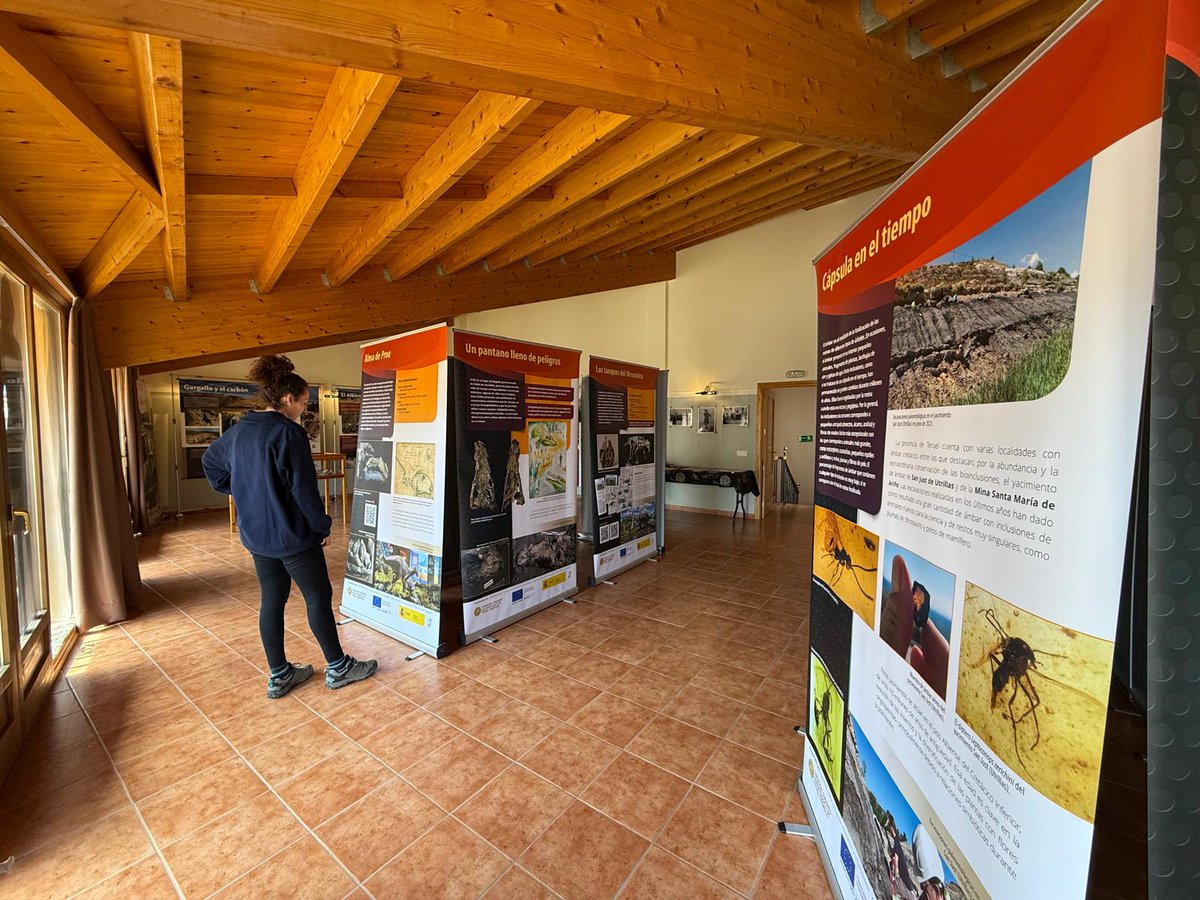 🆕📢 La exposición “Dinosaurios del carbón” se podrá visitar durante todo el mes de mayo en Gargallo 📢🆕

Se puede visitar en la Sala de exposiciones del Centro Social de Gargallo de lunes a domingo en horario de 11:00h a 13:00h.

👉 Más información en: bit.ly/DinosCarbonGar…