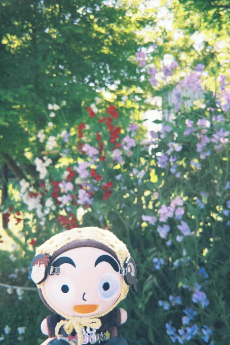 ヒルマ・アフ・クリント展みて教皇選挙みてその間にピクニック2回して歩き回っていい一日だった.*゜マジでこれくらいの気温がちょうどいいよー! 