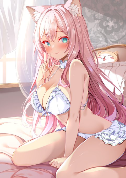 🐈🐈🐈
 #GWはフォロワーさんが増えるらしい 