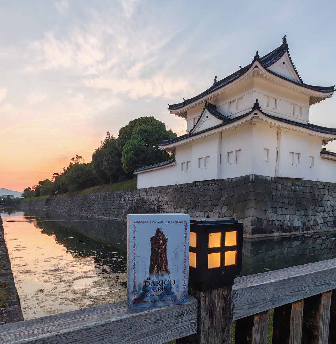 Alguna vez he comentado como influyó la cultura japonesa en la creación de la raza dárica, así que ahora mismo no se me ocurre un lugar mejor para fotografiar El dárico gris 🥰
#eldespertardeosharan