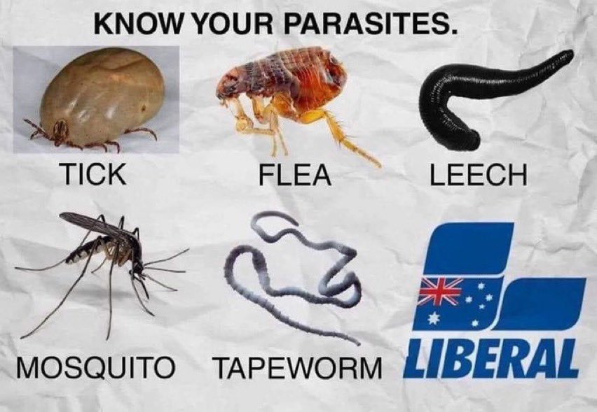 cycling_monkeys's tweet photo. @LiberalAus You lot did FA for almost ten years!
#LNPWastedDecade 
#LNPLast 
#LNPNeverAgain https://t.co/2DJKgAaZ7e