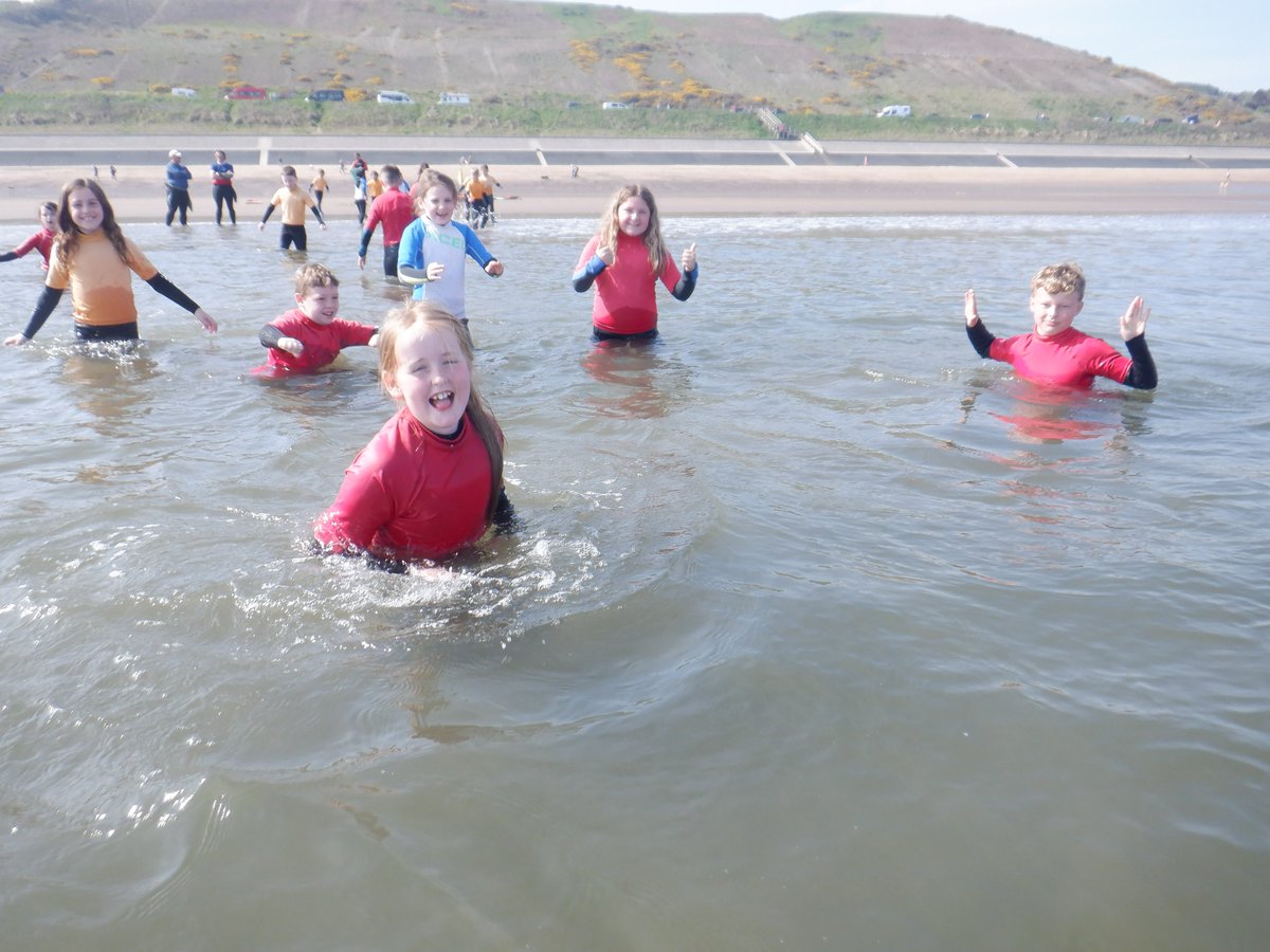 Westerton Primary tweet media