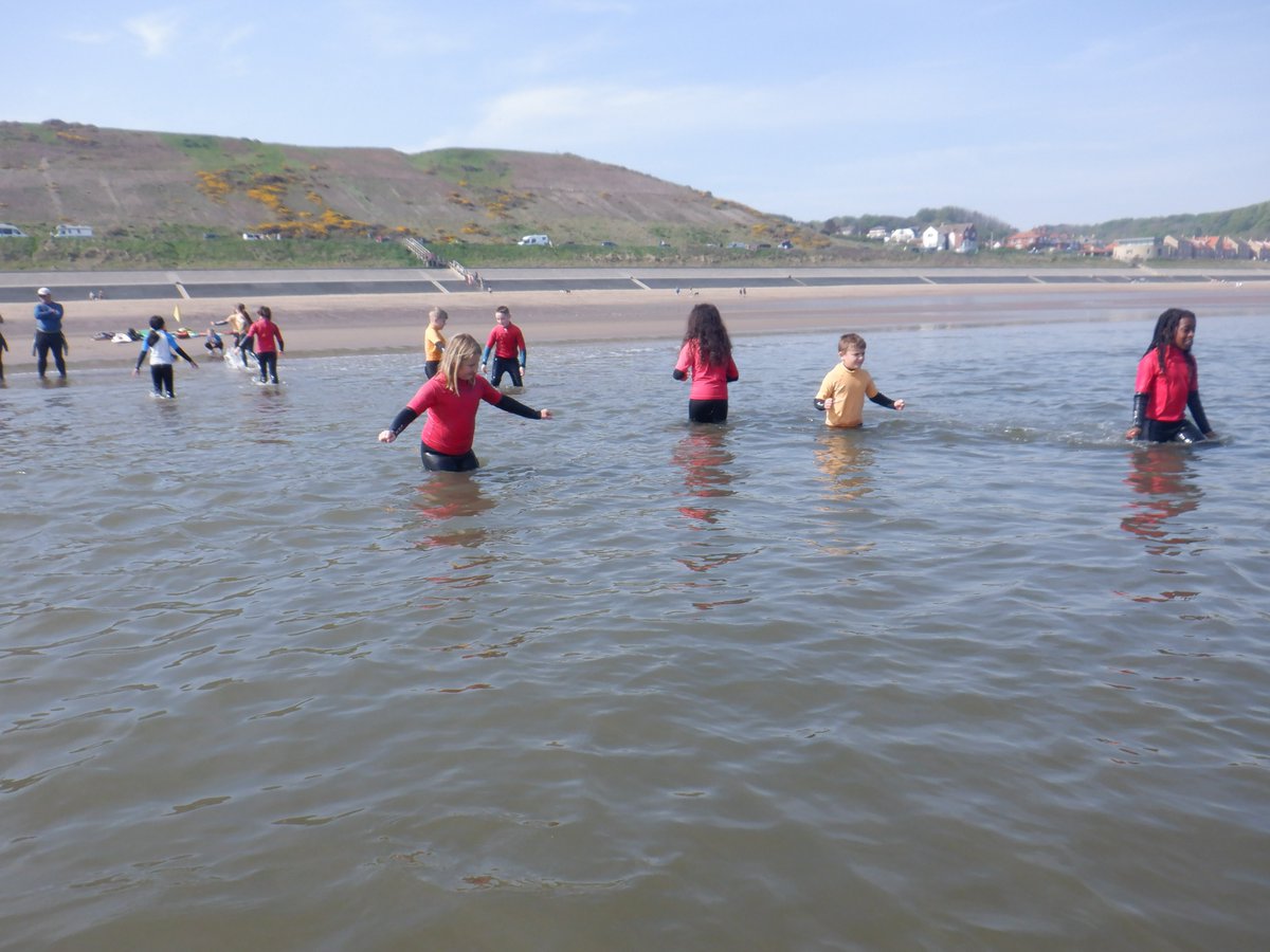 Westerton Primary tweet media