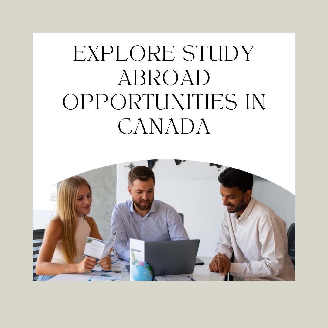 _Riya5Sharma's tweet photo. Explore Study Abroad Opportunities in Canada

https://t.co/aLn5KfQ0FJ

Discover top universities, student life, and how to study in Canada. Get expert tips to plan your international education journey with confidence.

#StudyAbroad #CanadaEducation #StudyInCanada https://t.co/Nsx9vGwuzR