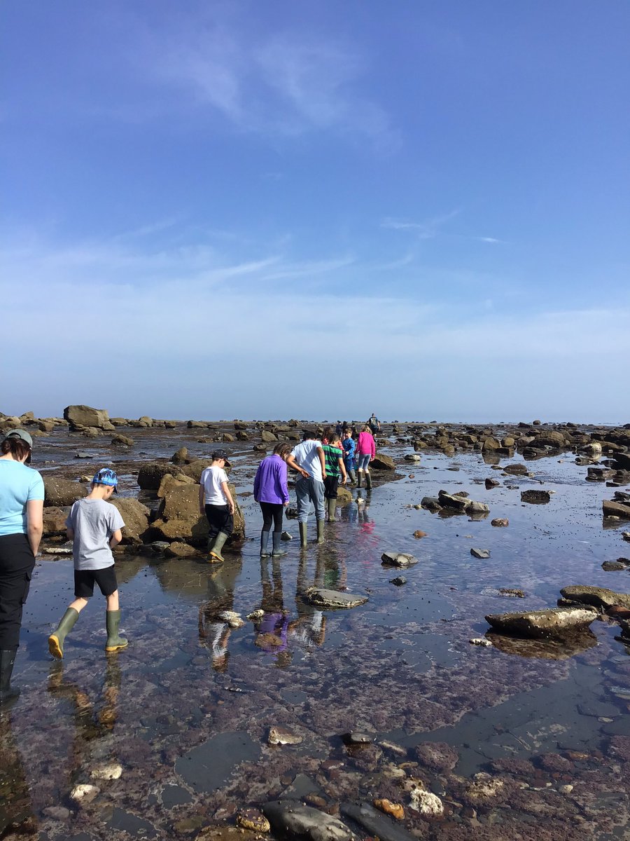 Westerton Primary tweet media