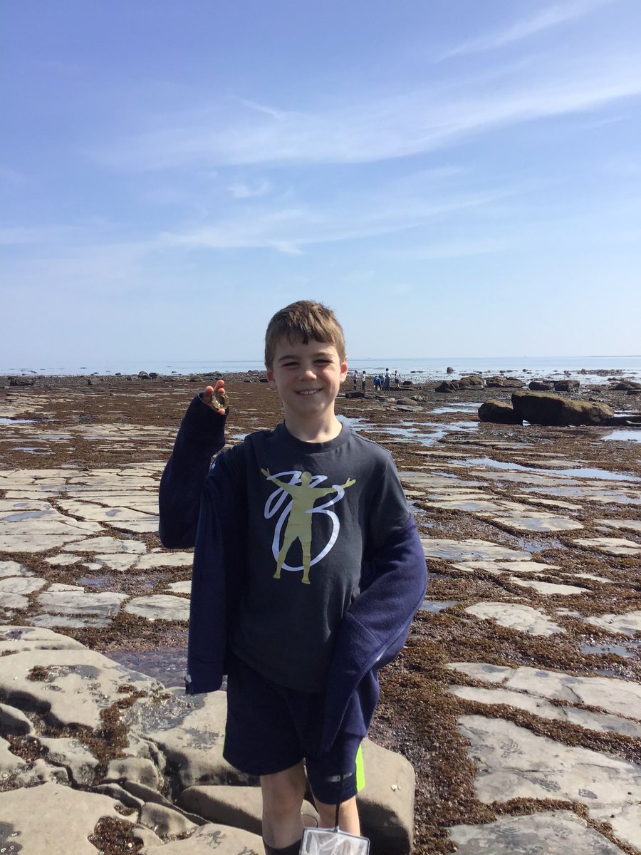 Westerton Primary tweet media