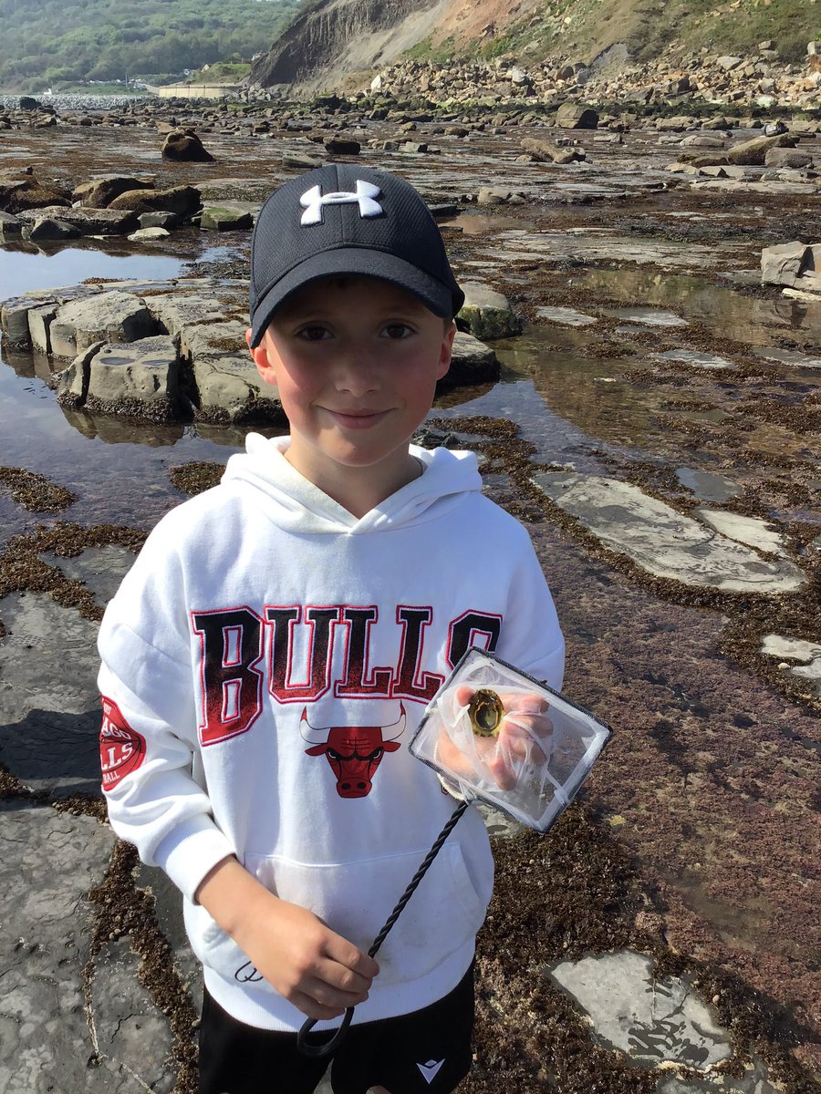 Westerton Primary tweet media