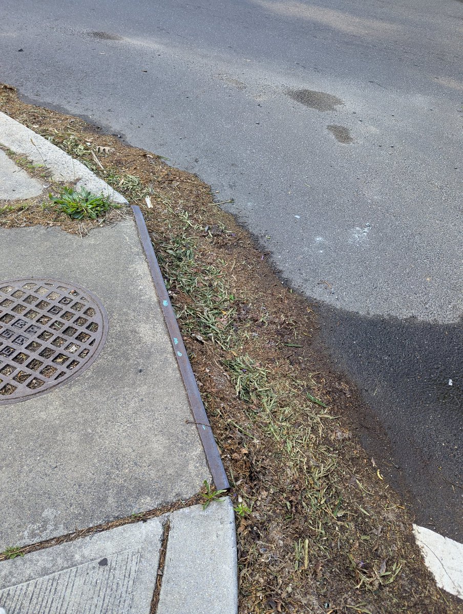 Hey <a href="/dcwater/">DC Water</a>, can you please address the completely blocked storm drain by 229 Webster St NW?