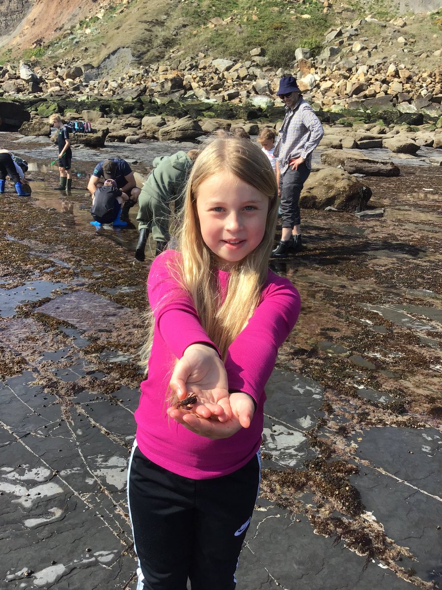 Westerton Primary tweet media