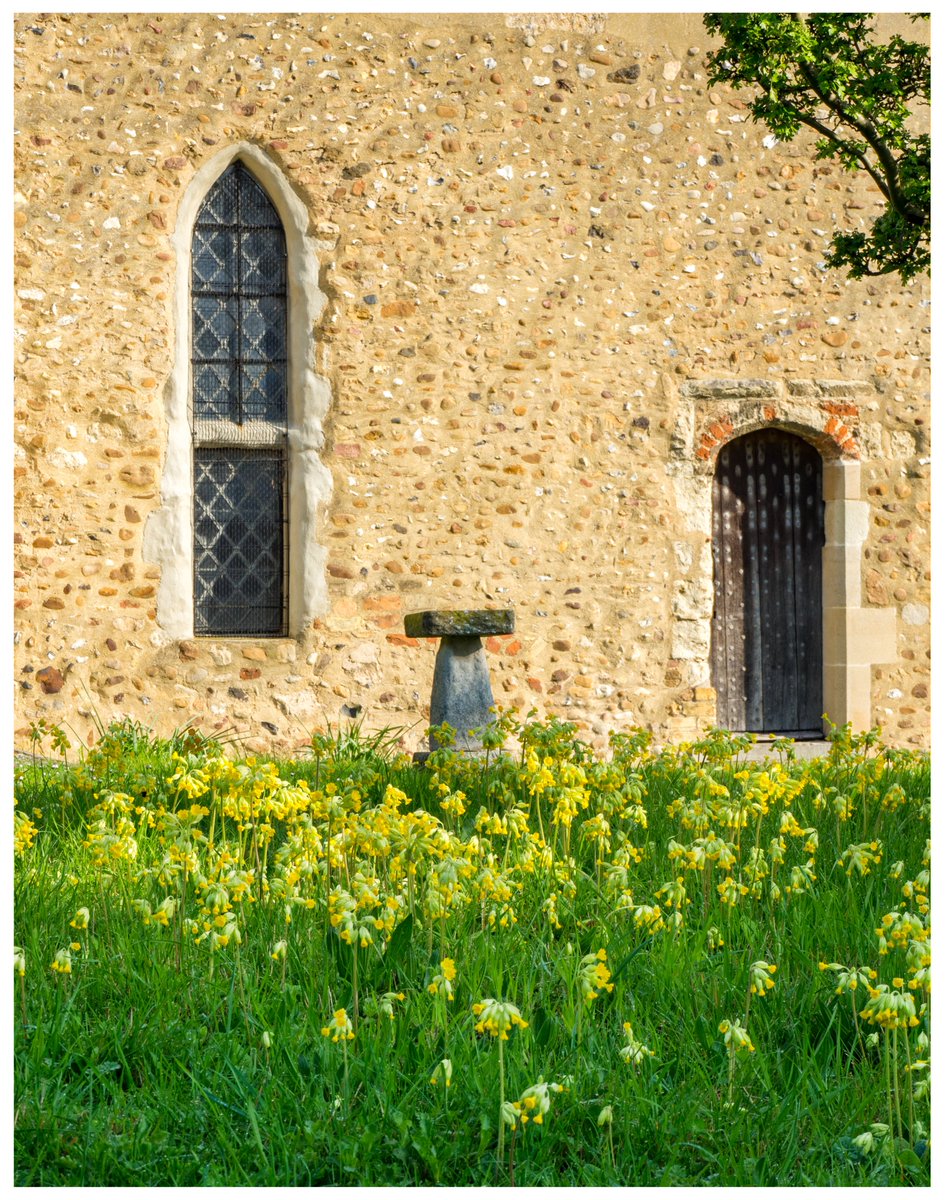 Now spring in all its glory