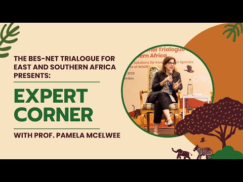 BES-Net (Biodiversity and Ecosystems Network) (@besnet_undp) on Twitter photo 🌾🌊🌿 Climate, biodiversity and food are not separate fights.
In this clip from #BESNet #Trialogue, <a href="/PamMcElwee/">Dr. Pam McElwee @pammcelwee on BlueSky / Threads</a> shares Nexus Approach examples that advance the #KMGBF and the #SDGs – all at once.
🎥 Watch how integrated action gets real.
youtu.be/vaMmBcDrswU 🌾🌊🌿 Climate, biodiversity and food are not separate fights.
In this clip from #BESNet #Trialogue, <a href="/PamMcElwee/">Dr. Pam McElwee @pammcelwee on BlueSky / Threads</a> shares Nexus Approach examples that advance the #KMGBF and the #SDGs – all at once.
🎥 Watch how integrated action gets real.
youtu.be/vaMmBcDrswU