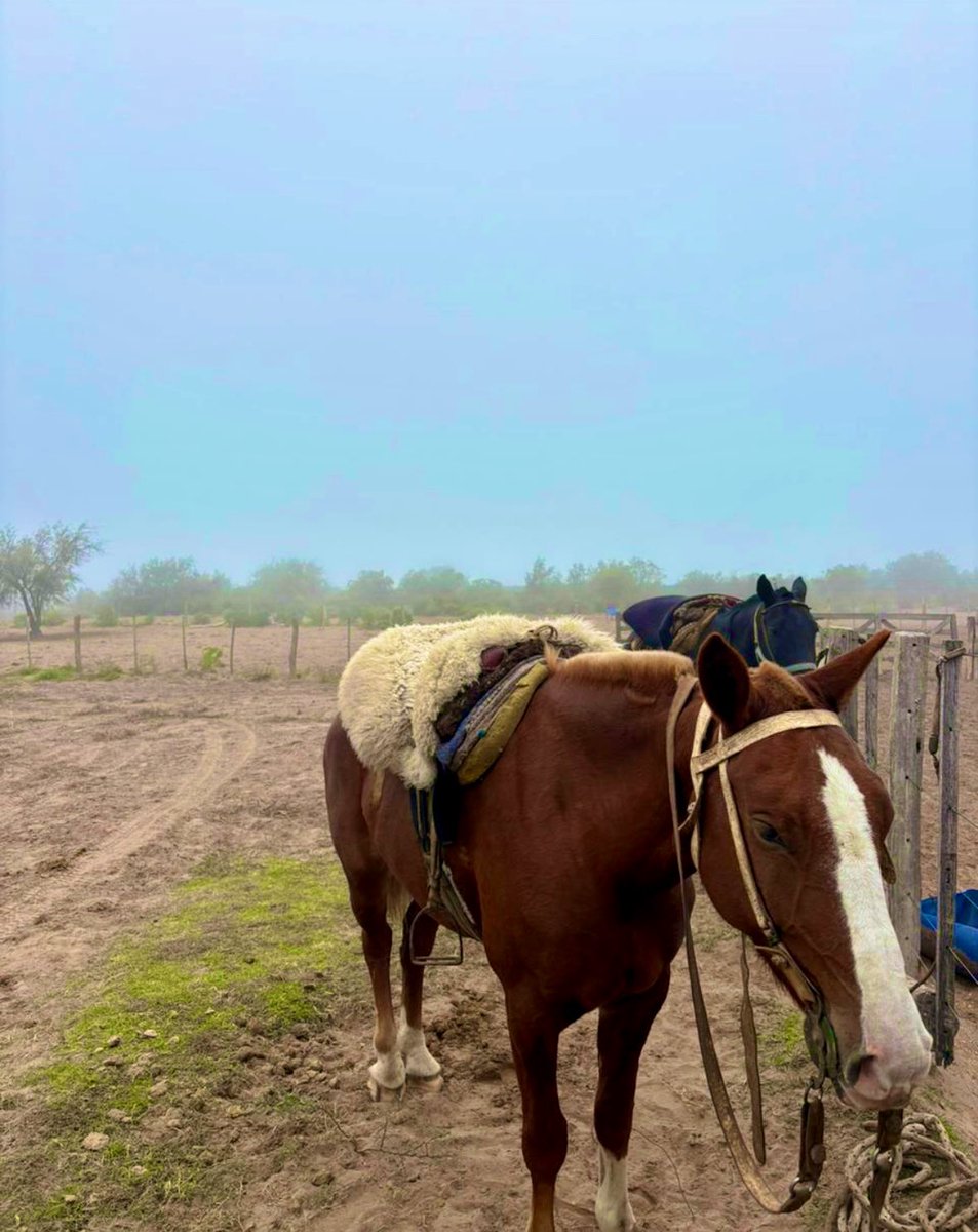 Último día de abril !!!! 
Buen día …