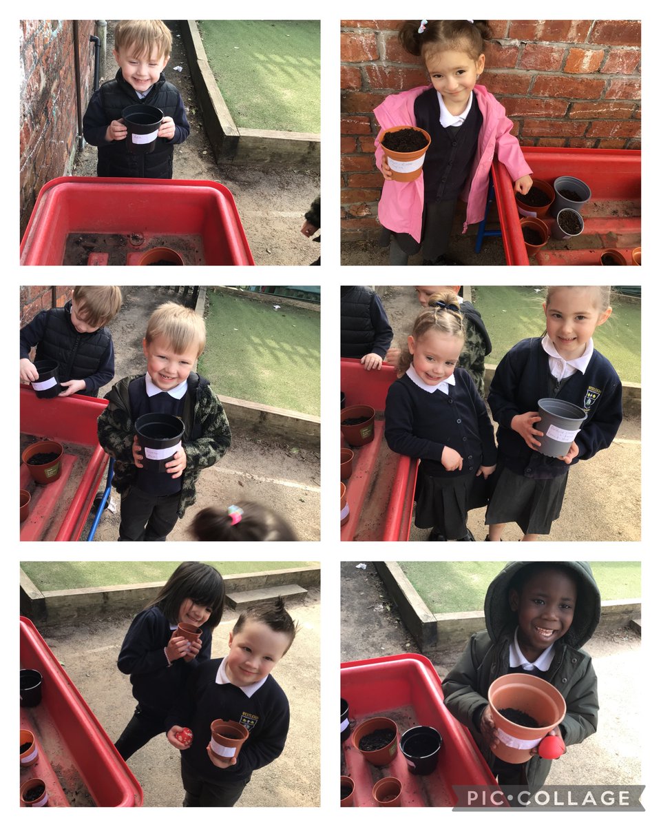 we planted a seed to observe the change and growth over time. #understandingtheworld #beanstalks #doallyoucan