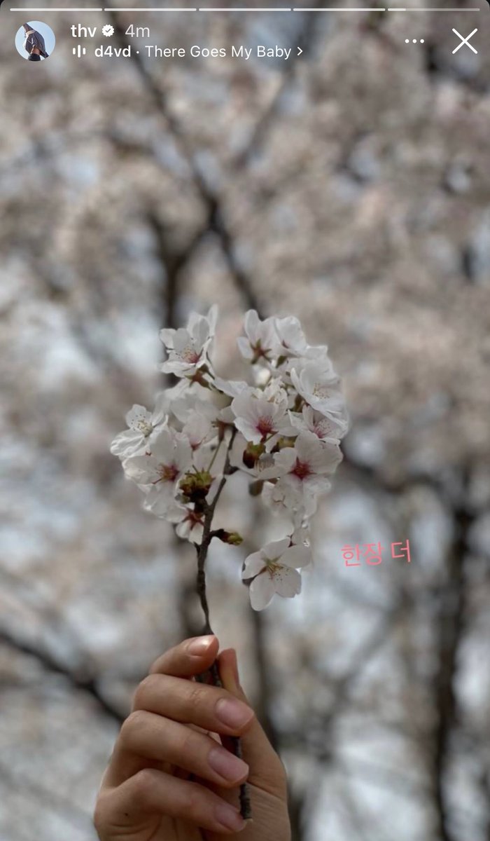 [INFO] Taehyung Ig story 

🐯: “ One more shoot”