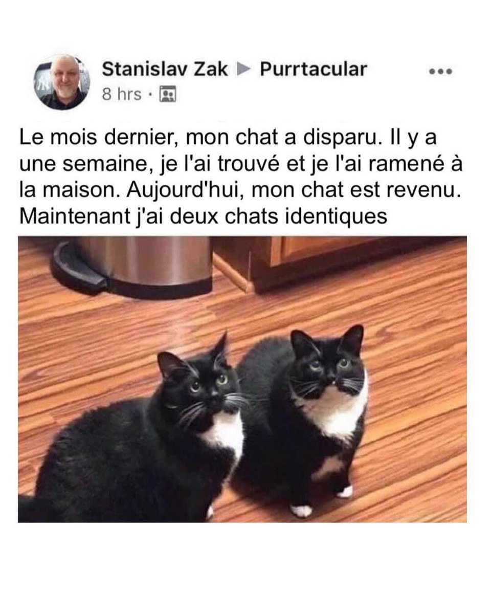 KialaPerla_'s tweet photo. J’aurai aimé faire ça avec mon mari 🫣 https://t.co/mUhqOHMgtP
