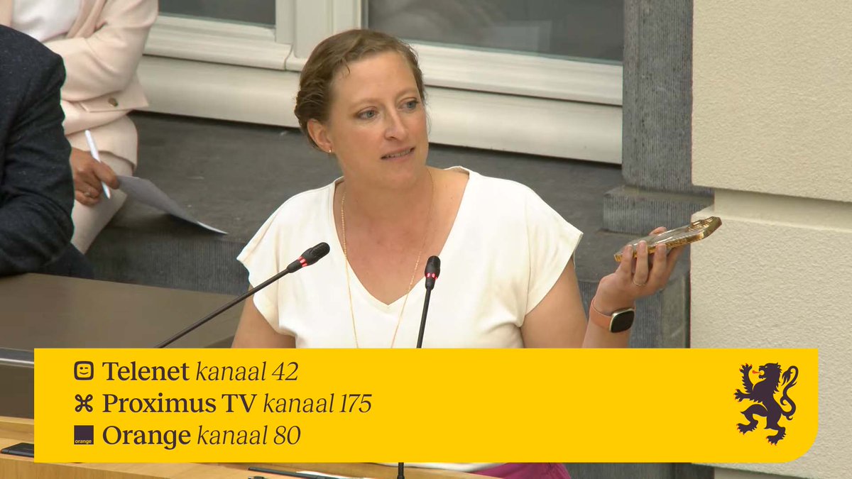💬“Ik vind de sensibiliserende informatie over de schadelijke gevolgen van vapes en het bestaan van cannabisvapes gewoonweg niet terug op sociale media, daar waar jongeren aanwezig zijn. Dat is een probleem”, zegt <a href="/FPerdaens/">Freya Perdaens</a> (N-VA)

📺Live op Vlaams Parlement TV