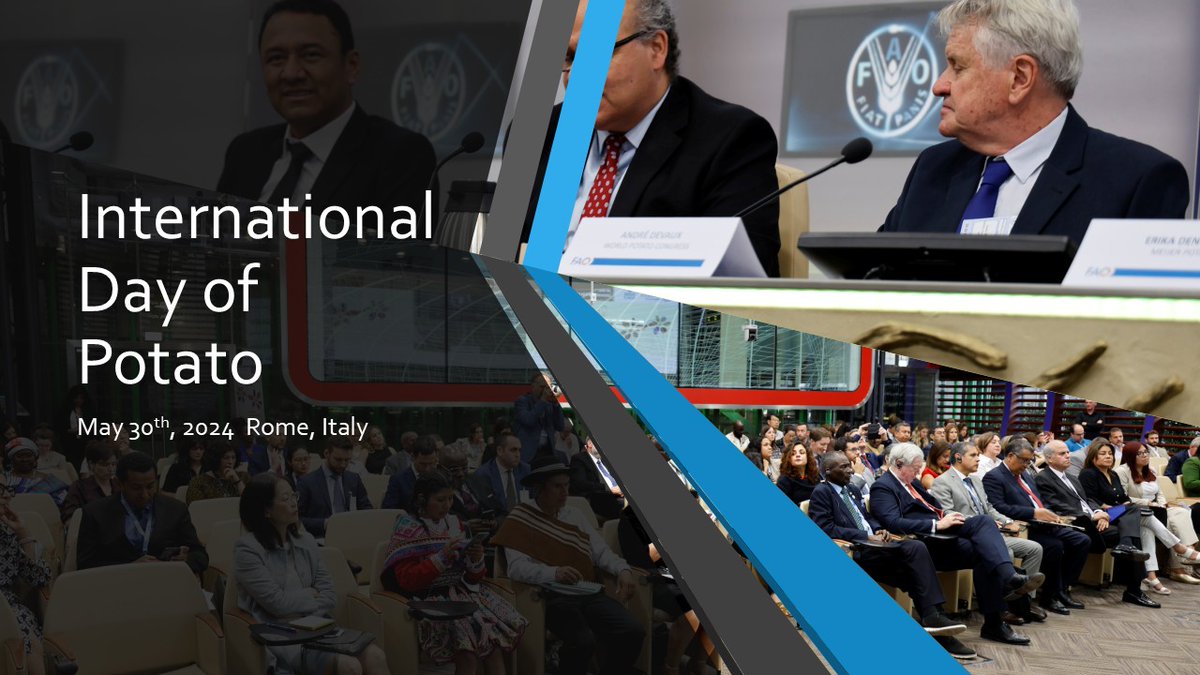 The World Potato Congress is excited to support the FAO in the launch of the theme for the 2nd International Day of Potato: "Shaping history, feeding the future."
#InternationalDayofPotato
#WorldPotatoCongress
#ShapingHistoryFeedingtheFuture
potatocongress.org/the-wpc-is-exc…
