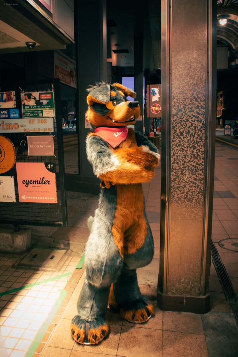 ...Just a dog🐶

📷<a href="/kannuk_helicop/">努克／Kannuk➡️二足歩行TwinTrails</a>