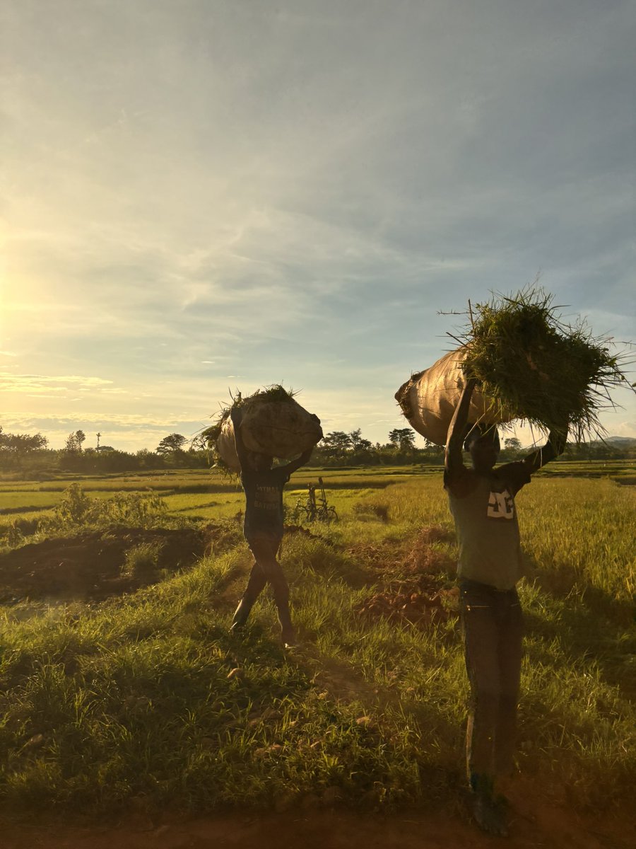 Maxime PREVOT (@prevotmaxime) on Twitter photo (FR/NL) 🇺🇬🇧🇮🇨🇩 Clap de fin 🎬 sur cette tournée de 5 jours en Afrique des Grands Lacs. Cette première mission s’est concentrée sur l’Ouganda, le Burundi et la RDC.Â
Dans le contexte tendu du conflit à l’Est du Congo, où j’ai voulu spécifiquement me rendre pour manifester notre (FR/NL) 🇺🇬🇧🇮🇨🇩 Clap de fin 🎬 sur cette tournée de 5 jours en Afrique des Grands Lacs. Cette première mission s’est concentrée sur l’Ouganda, le Burundi et la RDC.Â
Dans le contexte tendu du conflit à l’Est du Congo, où j’ai voulu spécifiquement me rendre pour manifester notre