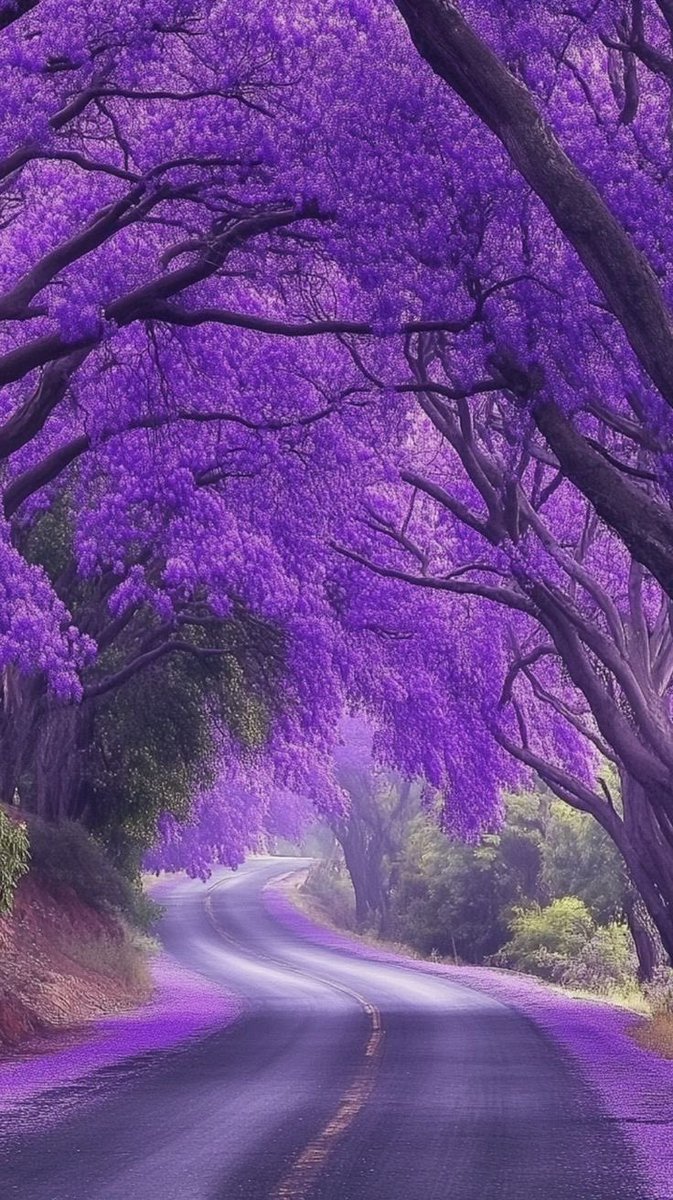 helena_mar19's tweet photo. Beautiful Road

(📷 Pinterest) https://t.co/3K0AQYfVlv