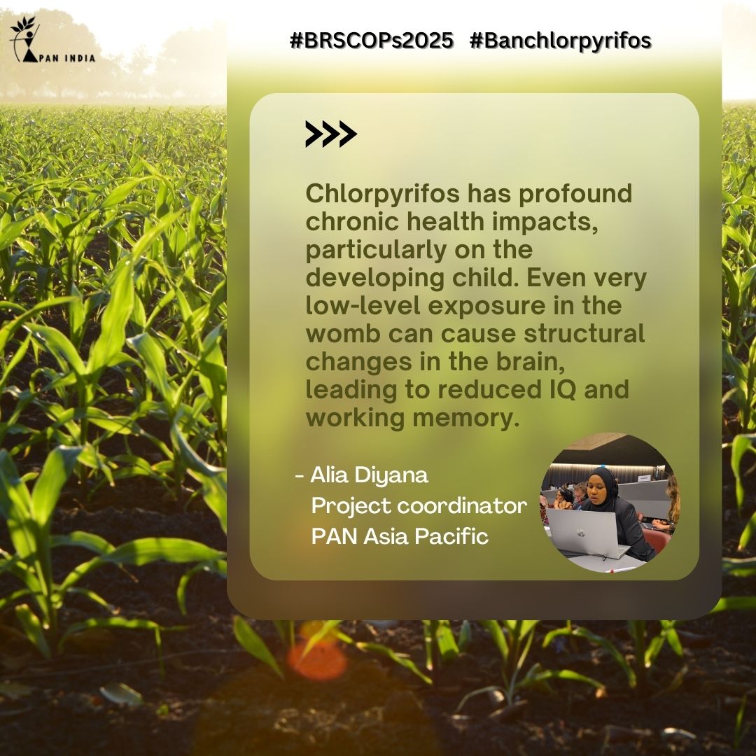 Pesticide Action Network (PAN) representatives made significant contributions at BRS COPs 2025, urging countries to phase out Chlorpyrifos globally. Explore the major statements from PAN representatives regarding Chlorpyrifos in the convention on 28/4/25. 
#BRS2025COPs
