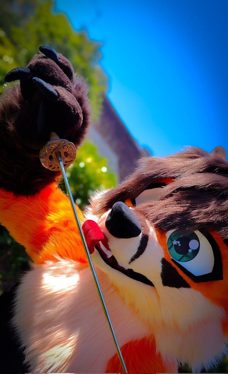 Nayru_fur's tweet photo. New fursuit creation of a superb samurai fox ^^

#fursuit #fursuitmaker #furryfandom https://t.co/EElxPZecxc