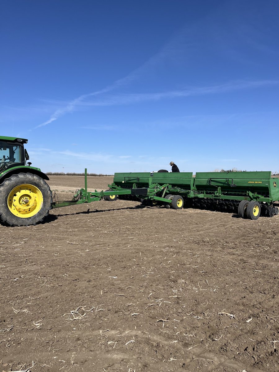 Stampseeds's tweet photo. Farm team spent a few days seeding demo plots of barley, durum, wheat, &amp; triticale.
Going to be great plots!
#WestCdnAg https://t.co/8OFZzo4foR