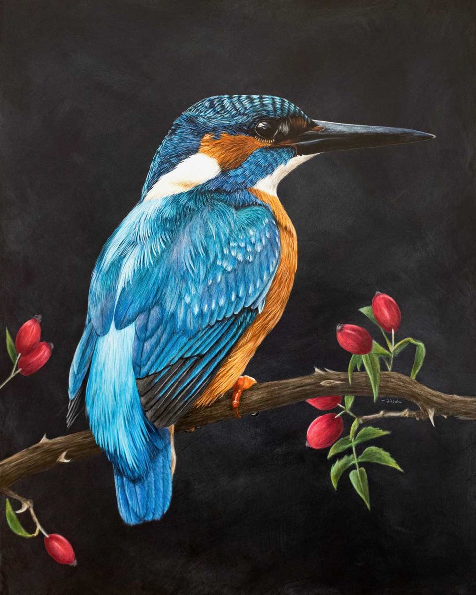 Aren’t kingfishers little gems?! ✨This lovely fella was painted in acrylics &amp; was so much fun to create! Those colours! 🧡💙 Amazingly, the original painting is still available too. Link in my profile if you fancy him on your wall! Male kingfisher, acrylics on 30x24” canvas.