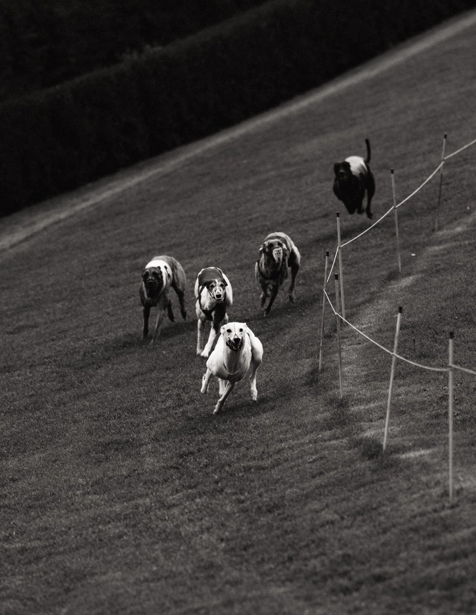 Calm before the storm.