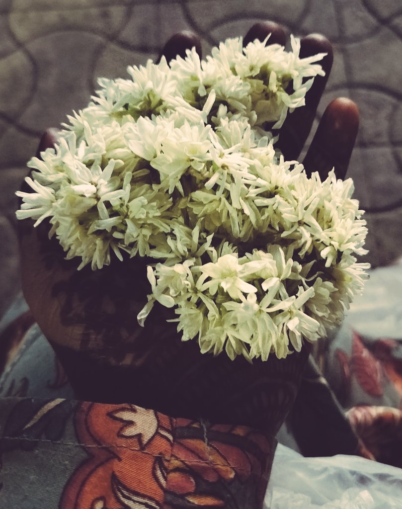 mellowdraama's tweet image. i have love that is humane 
flawed
needy
painful 
&amp;amp;
in addition 
i have love that belongs to animals 
selfless 
unrequited 
visceral 
&amp;amp;
i am 
walked past 
like an astral 
invisible 
threatening 
forbidden 
when in light.
#vss365
#addition