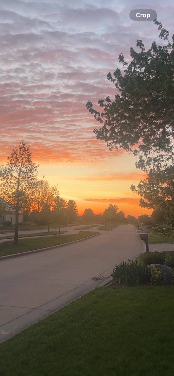 Domain Shane tweet media