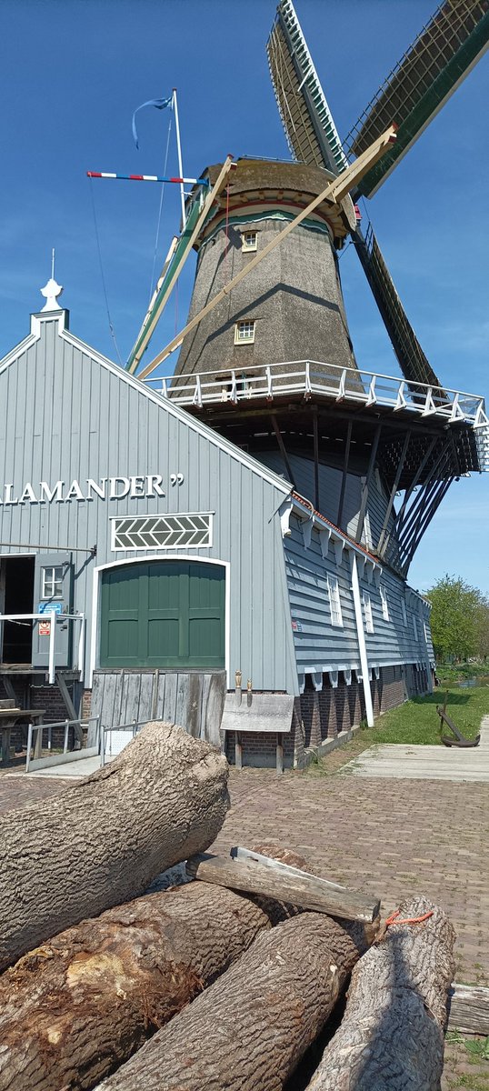 Molen dag op 10 mei. Met rondleidingen, zaagdemonstraties en vanaf rond 13.45 uur optreden van Shantykoor Midscheeps. En natuurlijk figuurzagen met de kinderen. Kom langs, doe mee en zing mee!