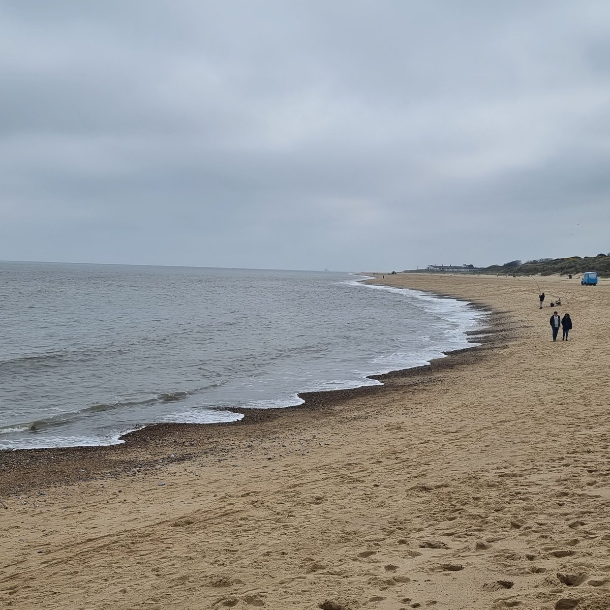 Mr M (4d72204d) tweet media