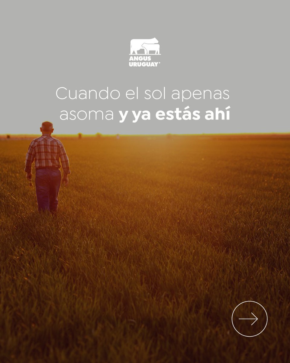 AngusUruguay's tweet photo. ¡Feliz Día del Trabajador Rural! 🌾💪
Tu dedicación y esfuerzo que hacen crecer nuestra raza, nuestro campo y nuestro país. https://t.co/dI1sN6Obo1