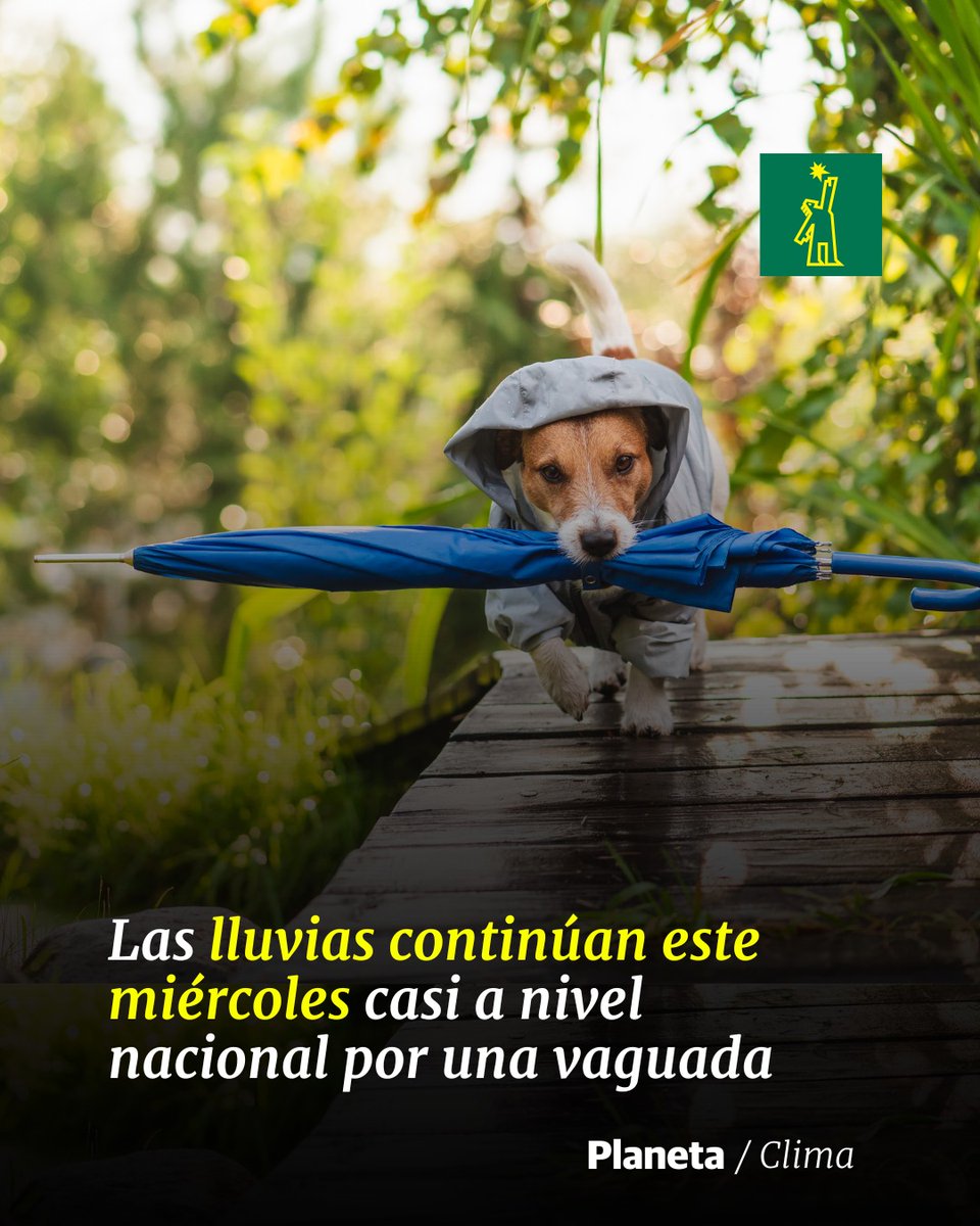 DiarioLibre's tweet image. 🌦 | #ElClimaDL | En el caso del Distrito Nacional se espera un ambiente nublado en la tarde con aguaceros

🔗ow.ly/1haY50VKsGU

#DiarioLibre #Clima #Vaguada #Lluvias #RD #Indomet
