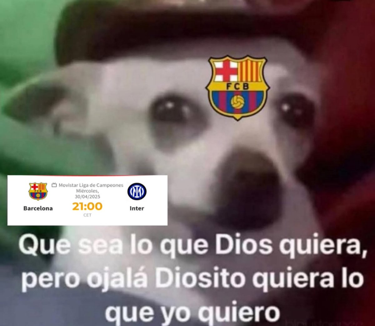 GxlDeMara's tweet image. 