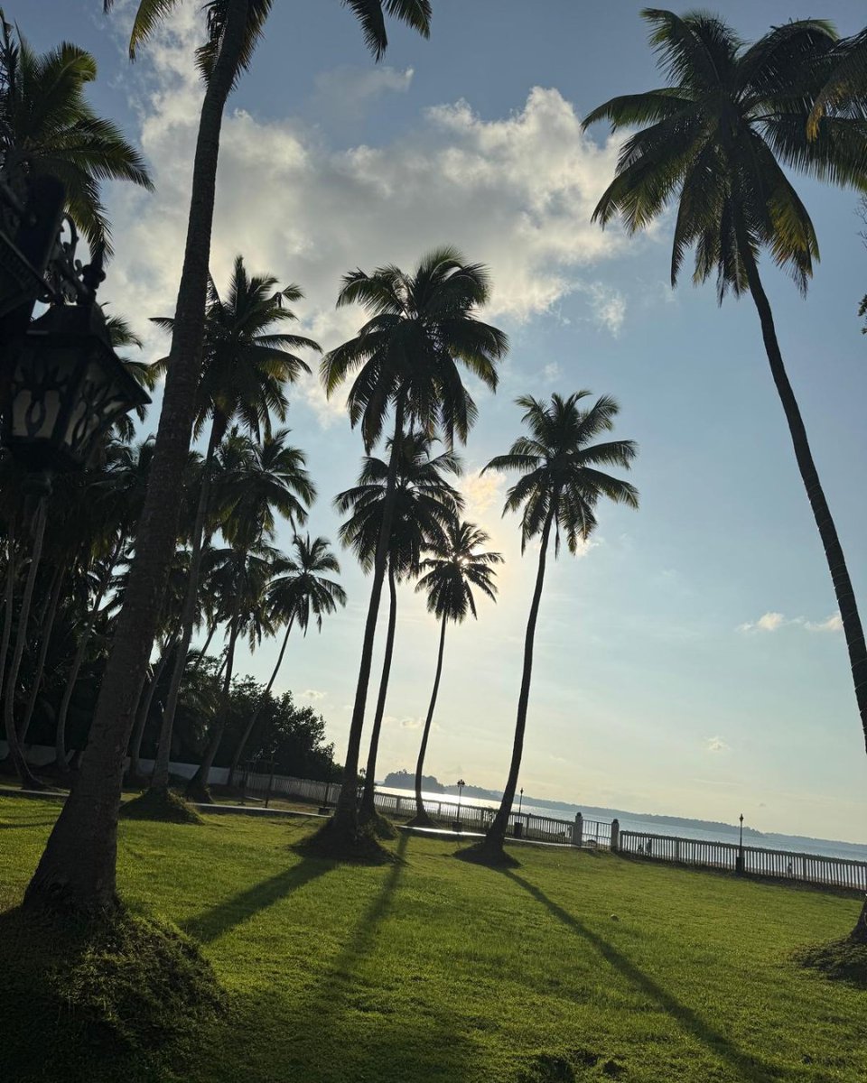 sujasrealty's tweet photo. Sunset glow, palm tree shadows, and endless waves... just pure bliss in Ferrargunj, South Andaman Island, India. ☀️🌊🌴

#indianbeaches #beachesofindia #andamanandnicobarislands https://t.co/dAML5LiyI9