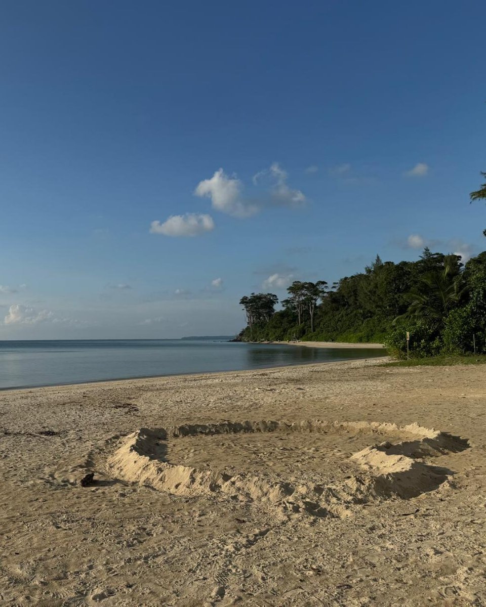 sujasrealty's tweet photo. Sunset glow, palm tree shadows, and endless waves... just pure bliss in Ferrargunj, South Andaman Island, India. ☀️🌊🌴

#indianbeaches #beachesofindia #andamanandnicobarislands https://t.co/dAML5LiyI9