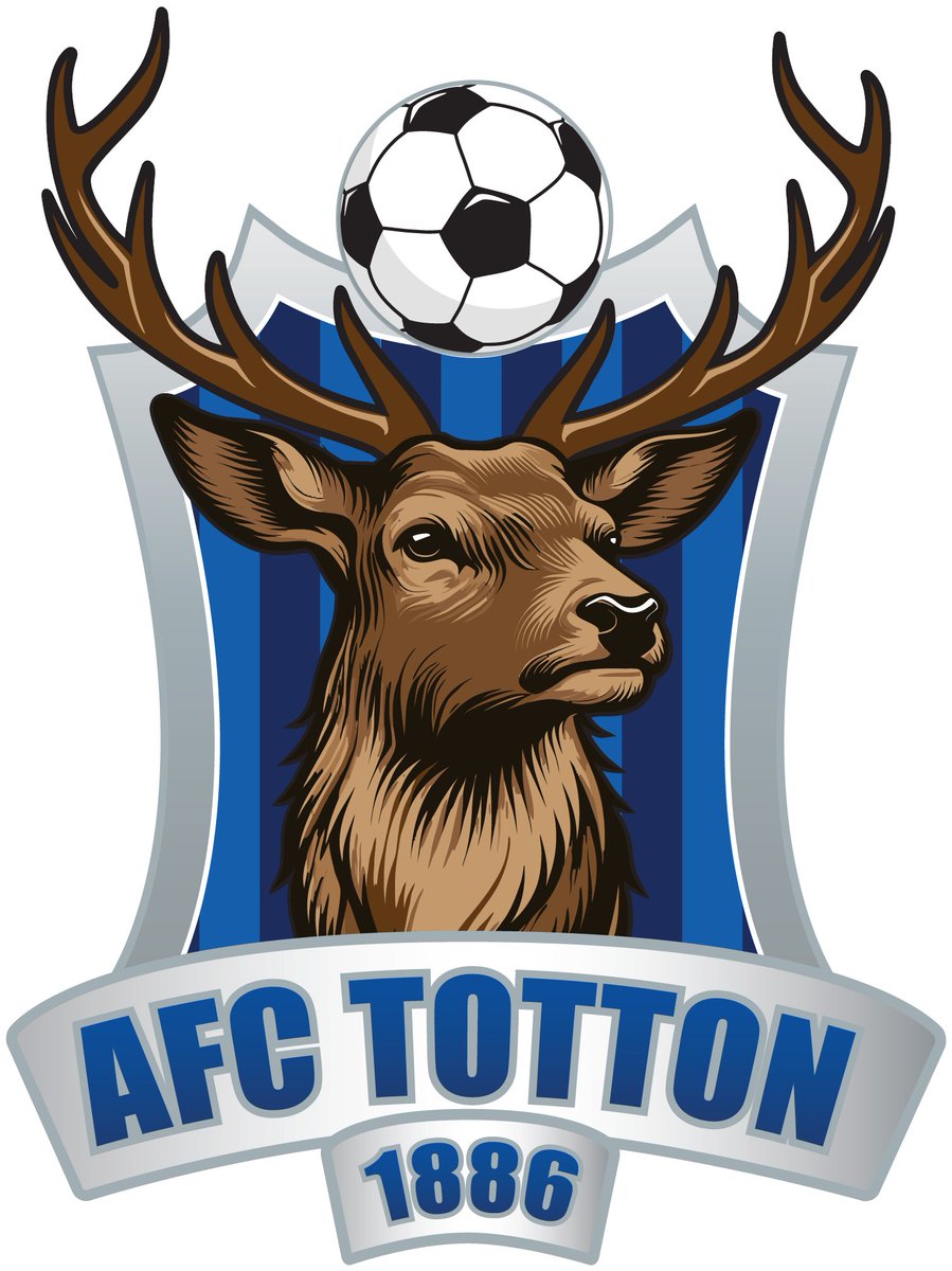 The Pitching In Southern Football League tweet media