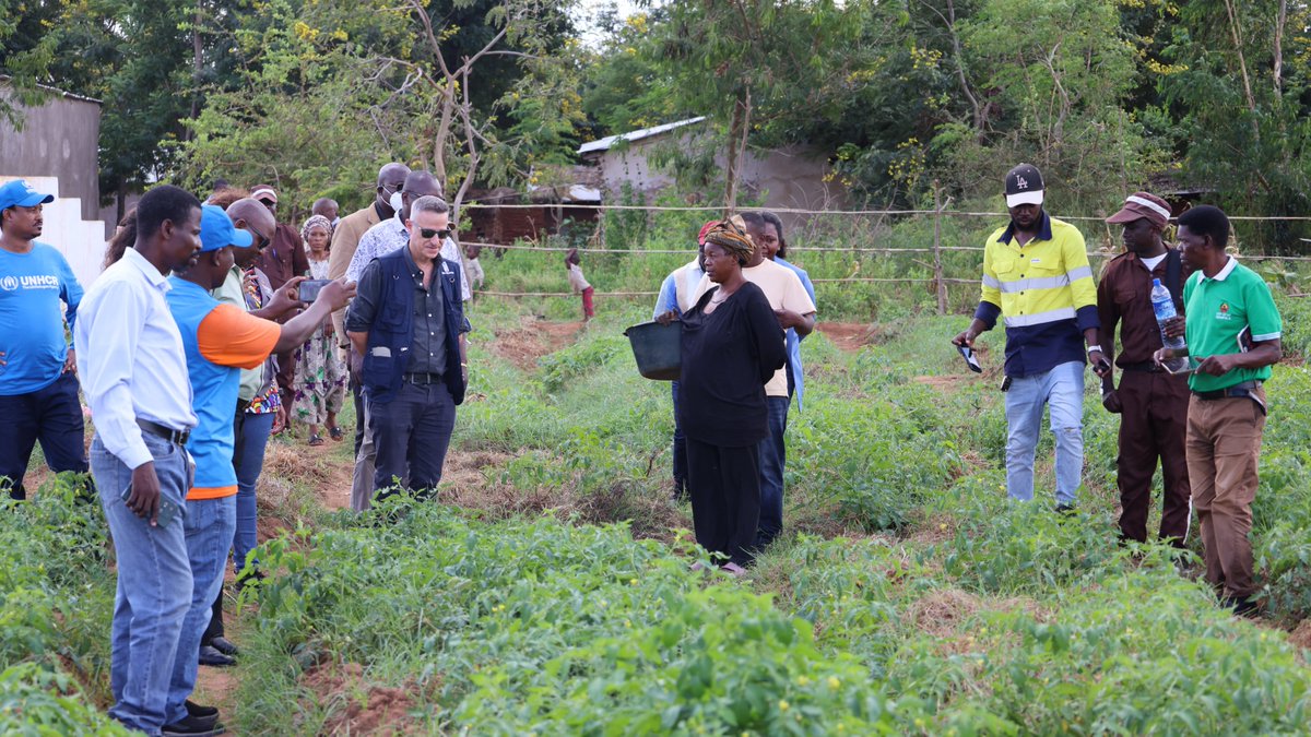 🚨 Success in #Maratane, 🇲🇿! The dam is back in action with <a href="/UNDPMozambique/">UNDP in Mozambique</a> &amp; #SwissCooperation🇨🇭support. 
+1.482 people now benefit from year-round farming 🌽
“Now we produce all year long!”
#SDGs  #FoodSecurity #Mozambique
👇
 ✅ Modern irrigation
 ✅ Sustainable techniques
 ✅