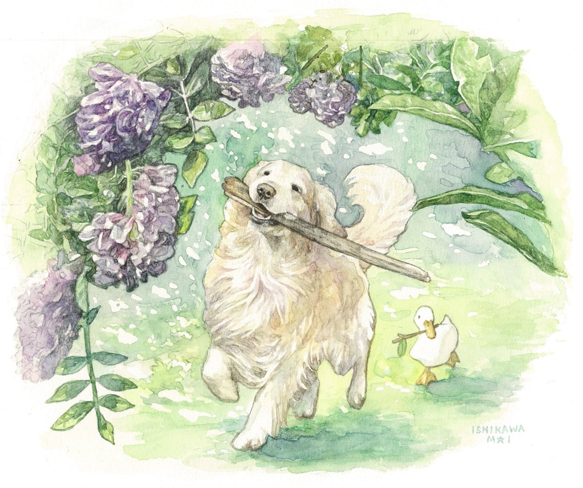 「去年完売した版画作品(左)を水彩作品(右)にしました。こちらの水彩は大阪個展にて」|石川真衣/版画家のイラスト