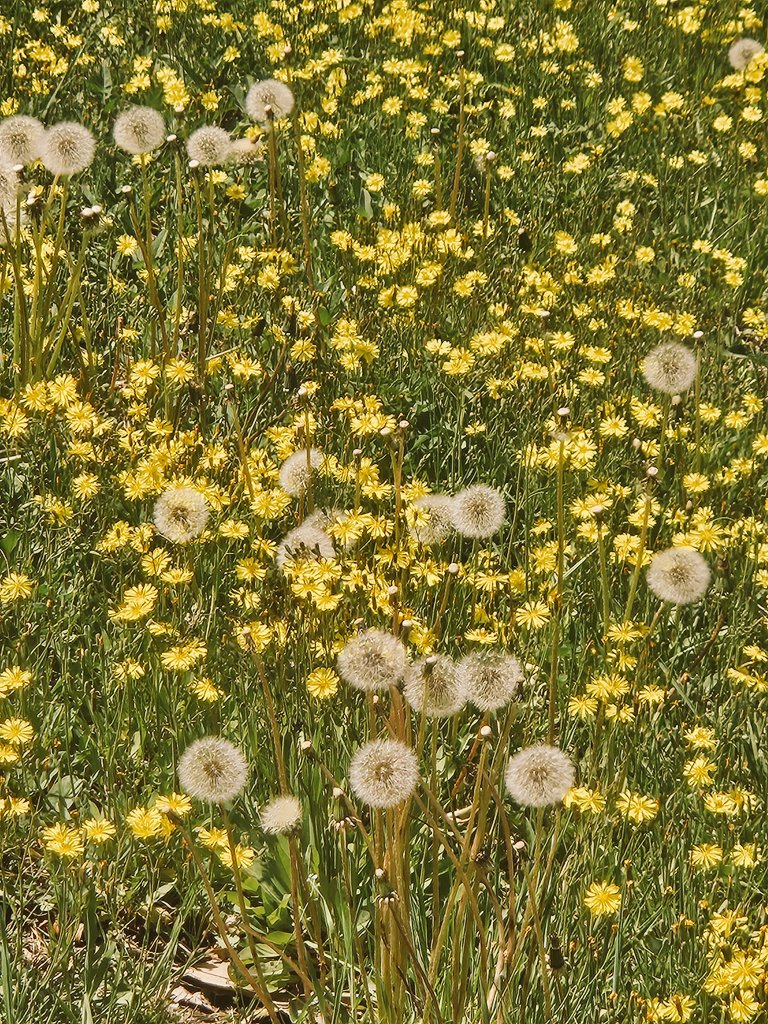 Dori도리 tweet media