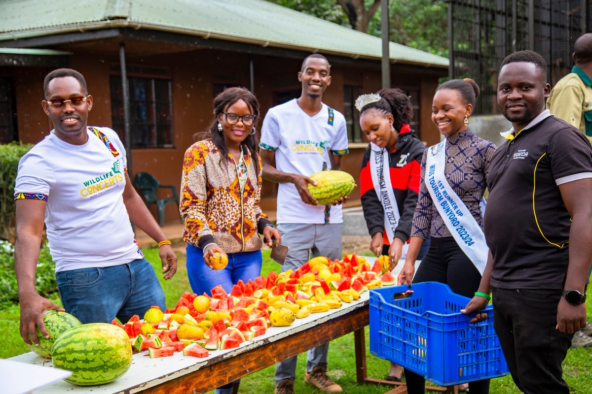 ATEIUg's tweet photo. The 1st edition of the #WildlifeConcert was a resounding success. Together, we raised awareness & funds for wildlife conservation, with proceeds going to @ngambaisland sanctuary. The 53 resident chimps celebrated with a feast to remember,thanks to your support #Music4Conservation https://t.co/UMfCiW0S5c