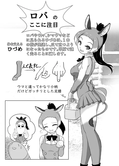 ロバちゃん🫏イイよねって話し
(のんほいでみた解説です) 