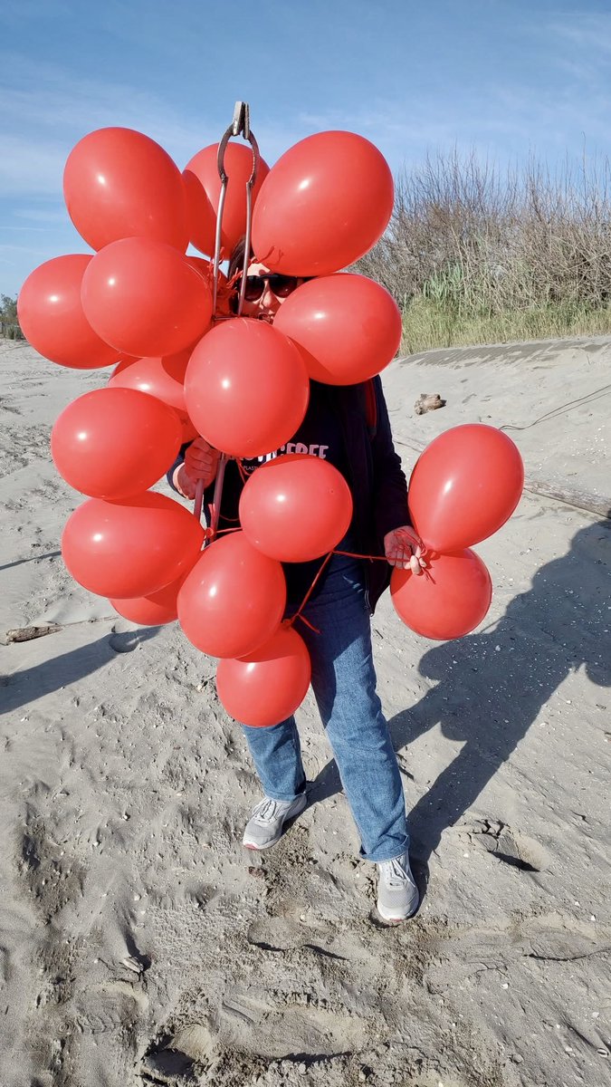From a moment of celebration to a sad reality on a beach. This cluster of balloons was found by our volunteers during an environmental cleanup. A short life cycle for joy, but a long and harmful one for the environment.

#plasticfree #balloons #pollution