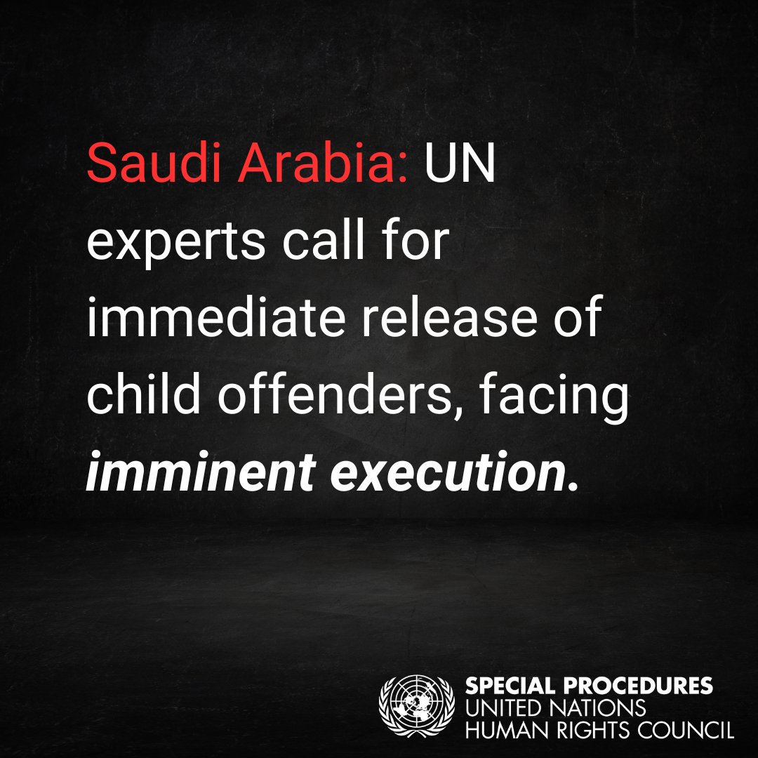 #SaudiArabia: UN experts call for immediate release of five individuals sentenced to death for crimes committed while they were under the age of 18. Experts further alarmed by persisting persecution &amp; discrimination against Shia Muslim Minority in 🇸🇦.
ohchr.org/en/press-relea…