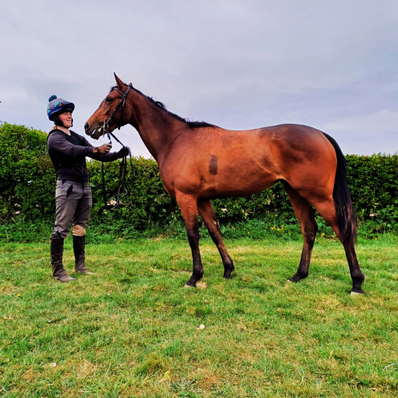 Old Gold Racing (@oldgoldracing) on Twitter photo Accademia has flourished for a break and has come back to her work fully refreshed!
There's only a handful of shares available in our special <a href="/fittocksstud/">fittocksstud</a> syndicate, trained by Group 1 winning trainer, <a href="/edwalkerracing/">Ed Walker Racing</a> 🤩
oldgoldracing.com/horses/fittock… Accademia has flourished for a break and has come back to her work fully refreshed!
There's only a handful of shares available in our special <a href="/fittocksstud/">fittocksstud</a> syndicate, trained by Group 1 winning trainer, <a href="/edwalkerracing/">Ed Walker Racing</a> 🤩
oldgoldracing.com/horses/fittock…