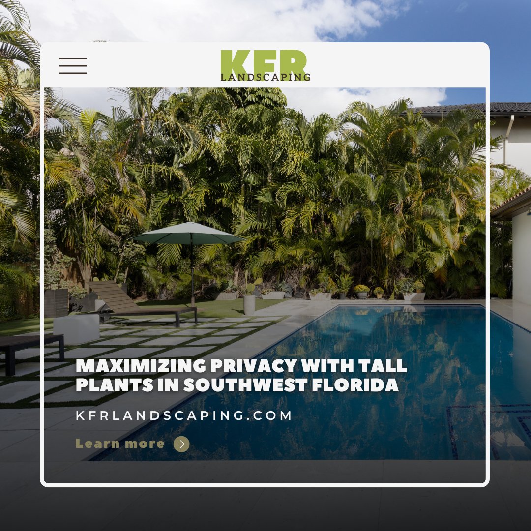 KFRLandscaping's tweet photo. Transforming your outdoor space into a private oasis requires expert planning and the right selection of tall plants.

Our team of professionals can help you design a landscape that thrives year-round: https://t.co/YBj1rUKnkk

#southwestflorida #landscaping #kfrlandscaping https://t.co/9fEuKb9LjD