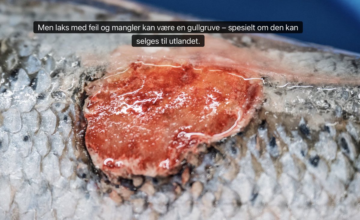 Interessant oppslag i Sunnmørsposten <a href="/smpno/">Sunnmørsposten</a> i dag. Har ikke tilgang, noen som har lest? smp.no/nyheter/i/25kz…